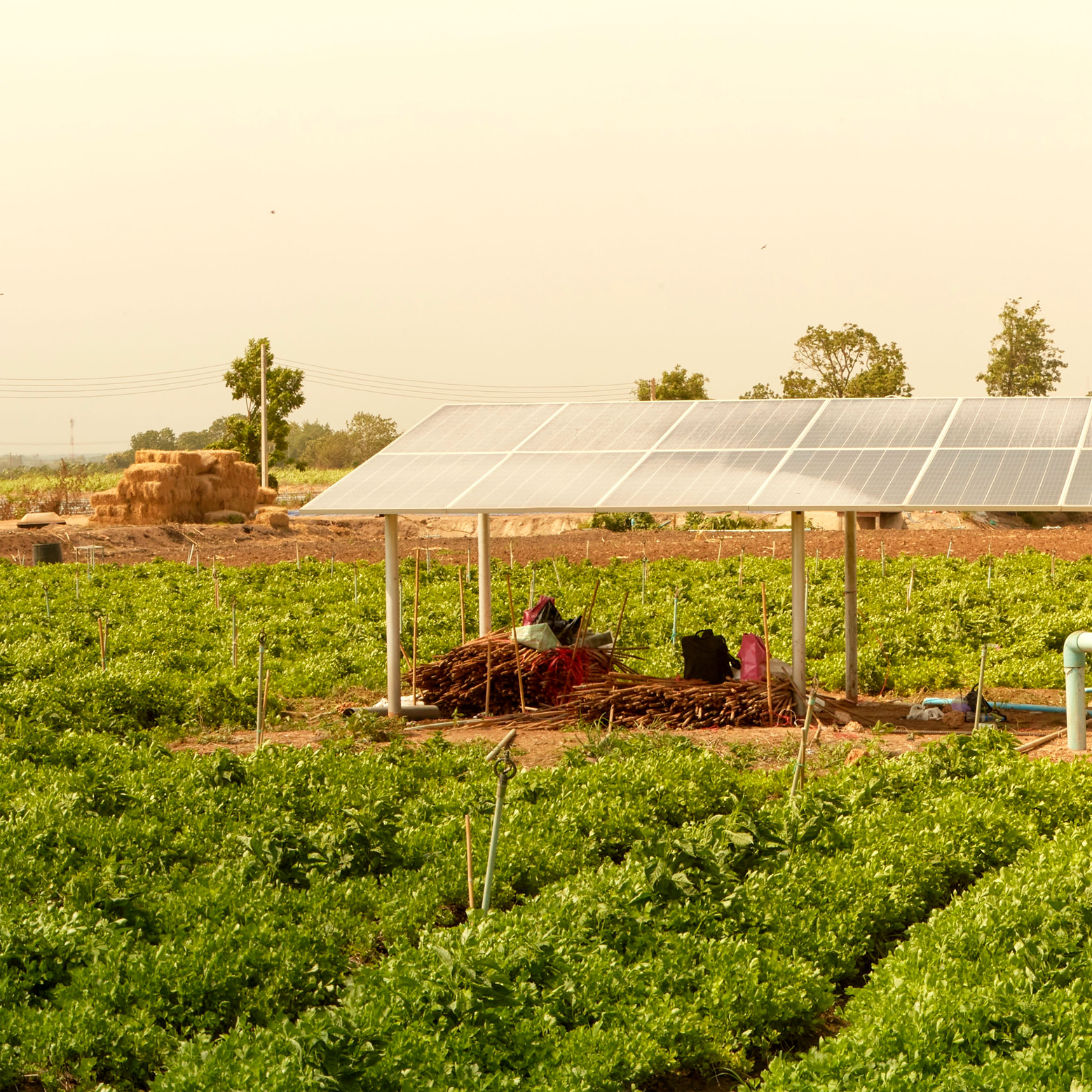 scaling-solar-application-for-agricultural-use